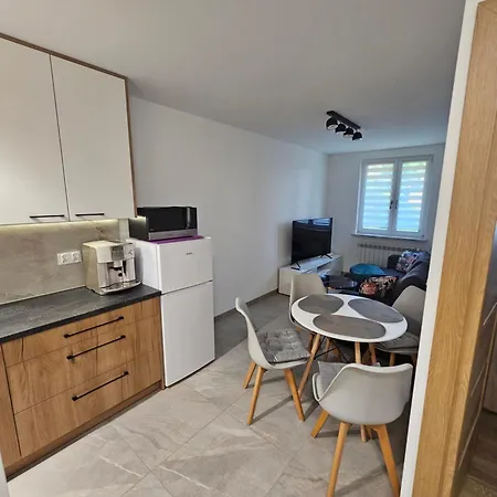 Mieszkanie Z Aneksem Kuchennym Apartment Krynica-Zdrój
